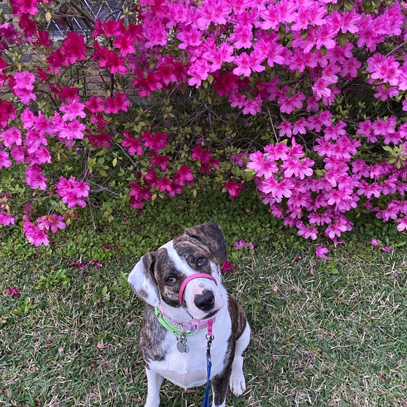 Meet your Posher, Jennifer - Picture 6 of 16